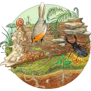 Biologická olympiáda